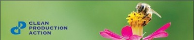 bee_pink_flower_bluetext_banner_email_topborder_(1).jpg
